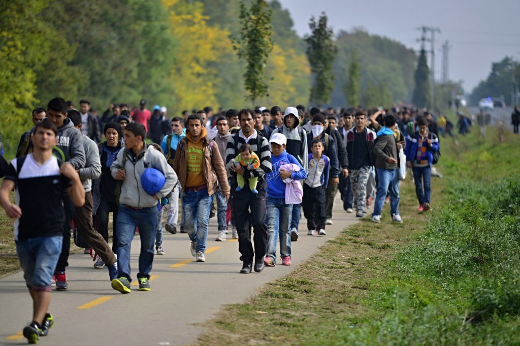 migrant