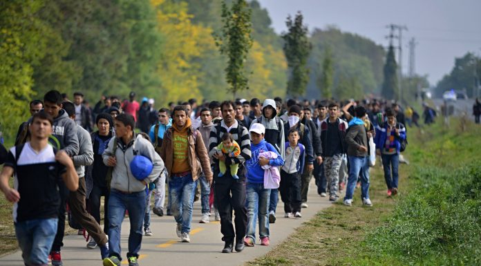 migrant